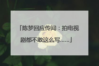 陈梦回应传闻：拍电视剧都不敢这么写……