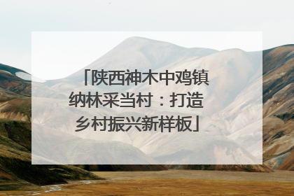 陕西神木中鸡镇纳林采当村：打造乡村振兴新样板