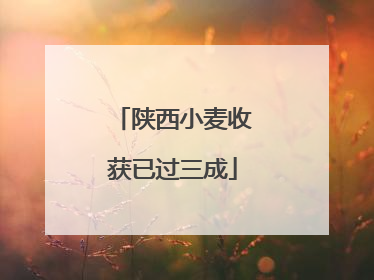 陕西小麦收获已过三成
