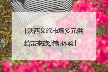 陕西文旅市场多元供给带来旅游新体验