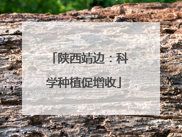 陕西靖边：科学种植促增收