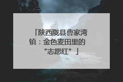 陕西陇县曹家湾镇：金色麦田里的“志愿红”