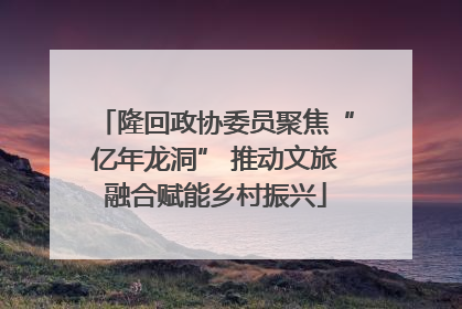 隆回政协委员聚焦“亿年龙洞” 推动文旅融合赋能乡村振兴