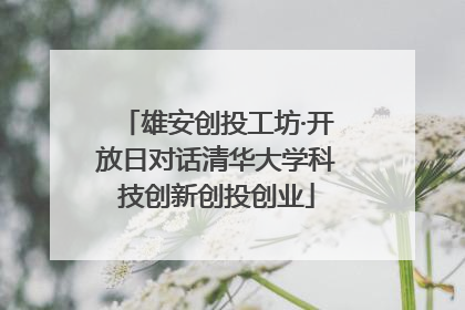 雄安创投工坊·开放日对话清华大学科技创新创投创业