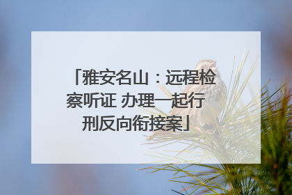 雅安名山：远程检察听证 办理一起行刑反向衔接案