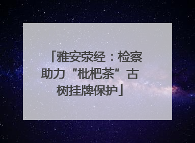 雅安荥经：检察助力“枇杷茶”古树挂牌保护