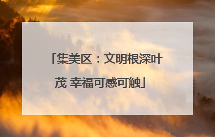 集美区：文明根深叶茂 幸福可感可触