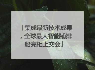 集成最新技术成果，全球最大智能铺排船亮相上交会