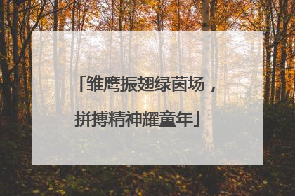 雏鹰振翅绿茵场，拼搏精神耀童年
