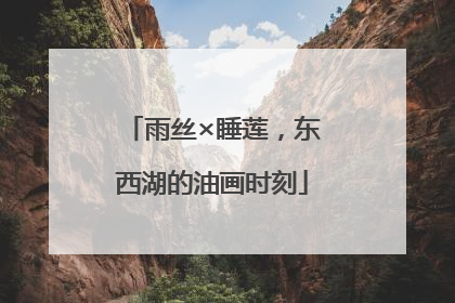 雨丝×睡莲，东西湖的油画时刻