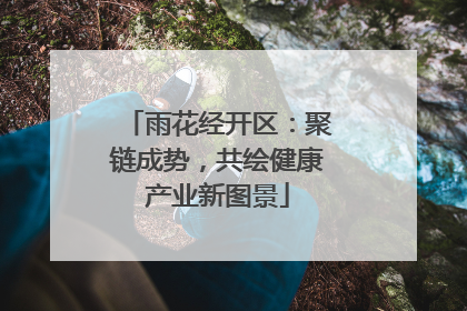 雨花经开区：聚链成势，共绘健康产业新图景