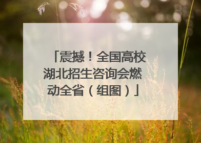震撼！全国高校湖北招生咨询会燃动全省（组图）