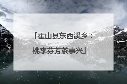 霍山县东西溪乡：桃李芬芳茶事兴