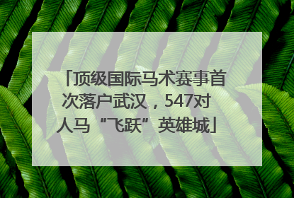 顶级国际马术赛事首次落户武汉，547对人马“飞跃”英雄城