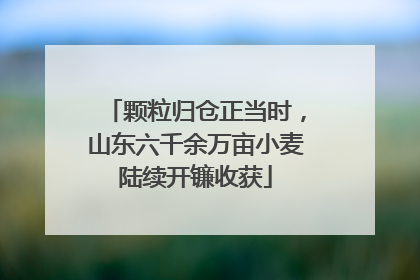 颗粒归仓正当时，山东六千余万亩小麦陆续开镰收获