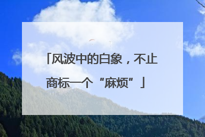 风波中的白象，不止商标一个“麻烦”