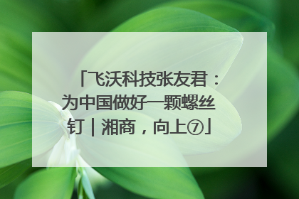 飞沃科技张友君：为中国做好一颗螺丝钉｜湘商，向上⑦