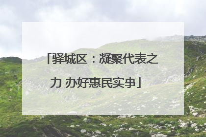 驿城区：凝聚代表之力 办好惠民实事