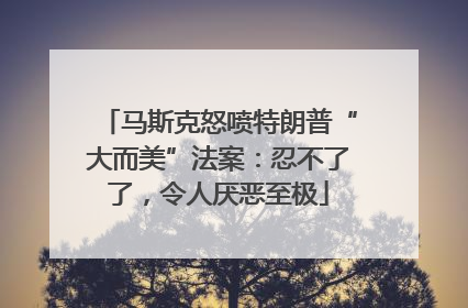 马斯克怒喷特朗普“大而美”法案：忍不了了，令人厌恶至极
