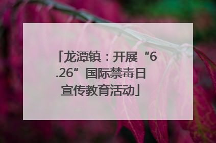 龙潭镇：开展“6.26”国际禁毒日宣传教育活动