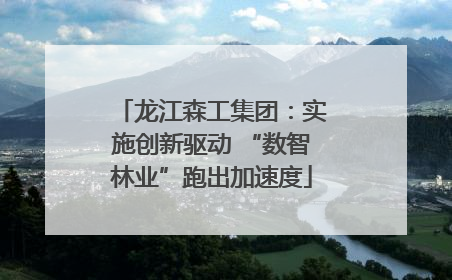 龙江森工集团：实施创新驱动 “数智林业”跑出加速度