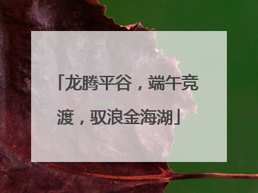 龙腾平谷，端午竞渡，驭浪金海湖