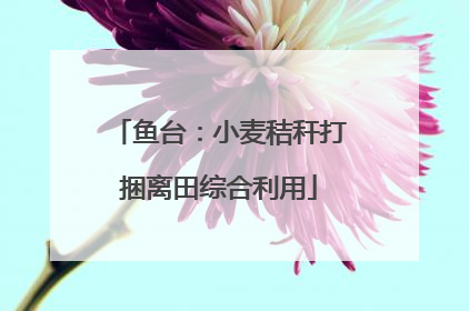 鱼台：小麦秸秆打捆离田综合利用