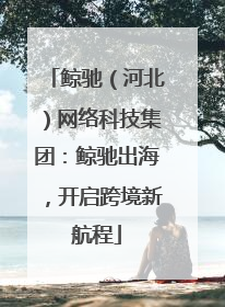 鲸驰（河北）网络科技集团：鲸驰出海，开启跨境新航程