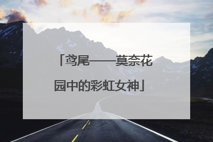 鸢尾——莫奈花园中的彩虹女神