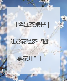 鹭江茶桌仔｜让赏花经济“四季花开”