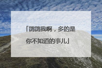 鹮鹮我啊，多的是你不知道的事儿