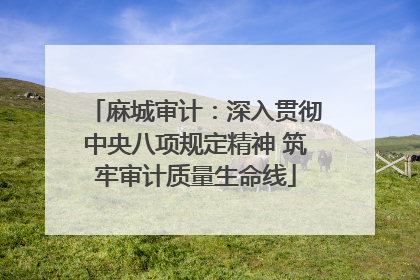 麻城审计：深入贯彻中央八项规定精神 筑牢审计质量生命线
