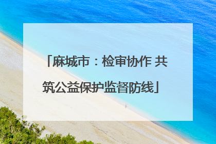 麻城市：检审协作 共筑公益保护监督防线