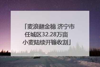 麦浪翻金穗 济宁市任城区32.28万亩小麦陆续开镰收割