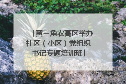 黄三角农高区举办社区（小区）党组织书记专题培训班