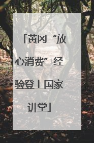 黄冈“放心消费”经验登上国家讲堂