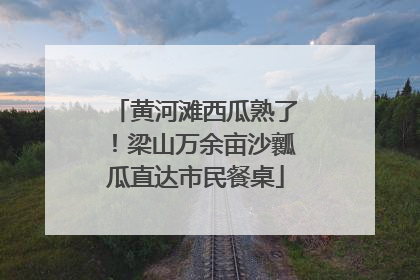 黄河滩西瓜熟了！梁山万余亩沙瓤瓜直达市民餐桌