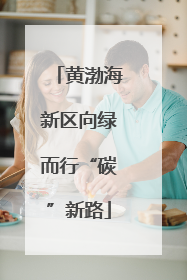 黄渤海新区向绿而行“碳”新路