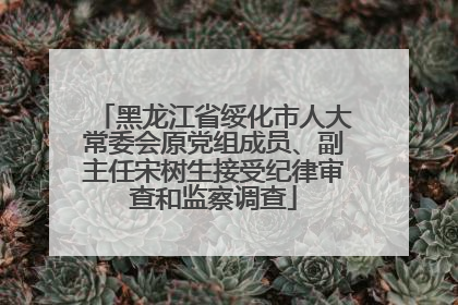 黑龙江省绥化市人大常委会原党组成员、副主任宋树生接受纪律审查和监察调查