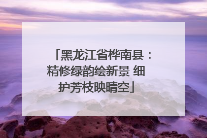 黑龙江省桦南县：精修绿韵绘新景 细护芳枝映晴空