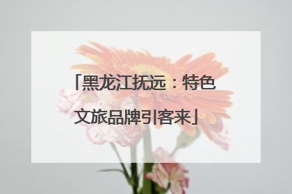 黑龙江抚远：特色文旅品牌引客来