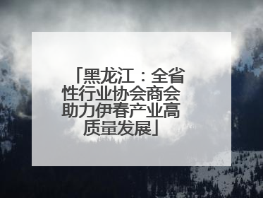 黑龙江：全省性行业协会商会助力伊春产业高质量发展