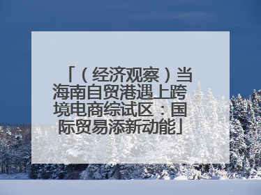 （经济观察）当海南自贸港遇上跨境电商综试区：国际贸易添新动能