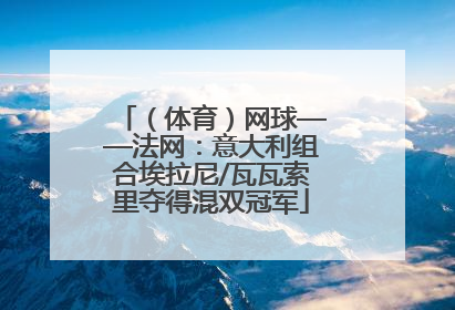 （体育）网球——法网：意大利组合埃拉尼/瓦瓦索里夺得混双冠军