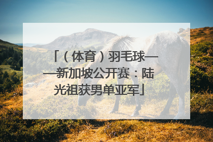（体育）羽毛球——新加坡公开赛：陆光祖获男单亚军