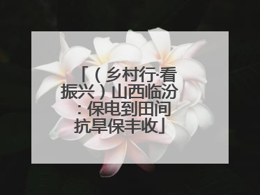 （乡村行·看振兴）山西临汾：保电到田间 抗旱保丰收
