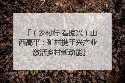 （乡村行·看振兴）山西高平：矿村携手兴产业 激活乡村新动能