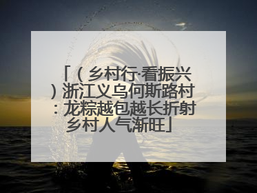 （乡村行·看振兴）浙江义乌何斯路村：龙粽越包越长折射乡村人气渐旺