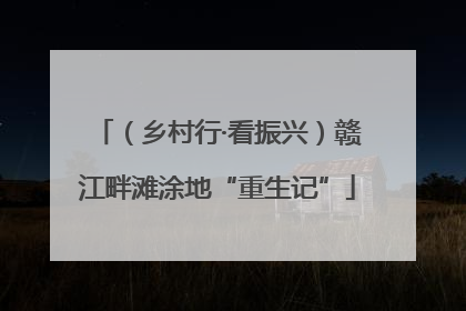 （乡村行·看振兴）赣江畔滩涂地“重生记”