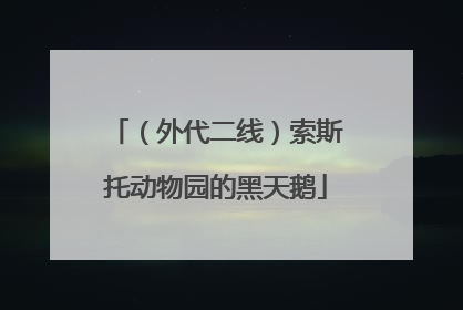 （外代二线）索斯托动物园的黑天鹅